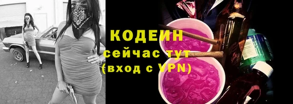 прущие крисы Кулебаки