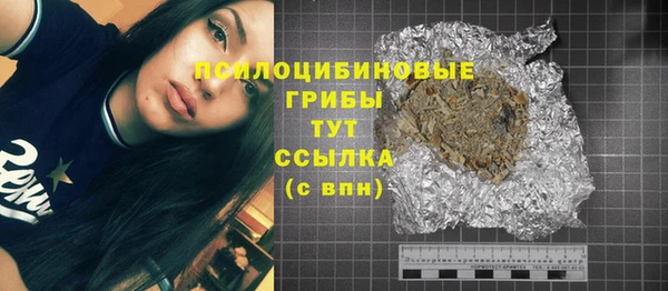 прущие крисы Кулебаки