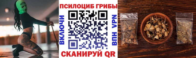 Псилоцибиновые грибы GOLDEN TEACHER  Октябрьский 