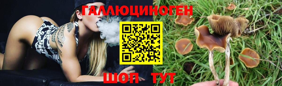 Галлюциногенные грибы MAGIC MUSHROOMS  Псилоцибиновые грибы прущие грибы  Октябрьский 