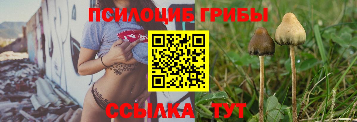 Псилоцибиновые грибы Psilocybine cubensis  Вход с VPN  купить наркоту  Октябрьский 